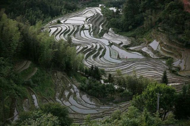 桃源梯田景區