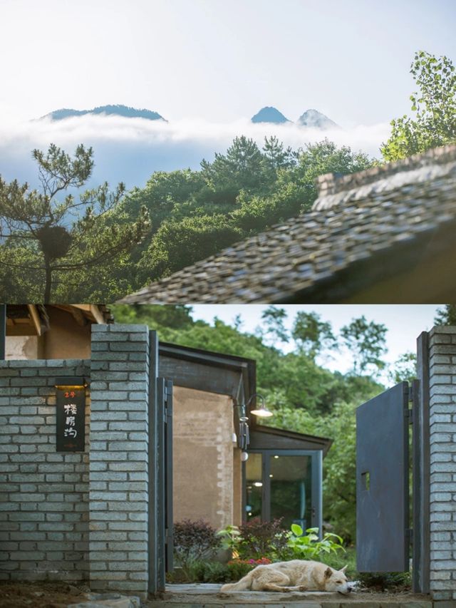 陝西|藏在秦嶺深處避世秘境絕美民宿