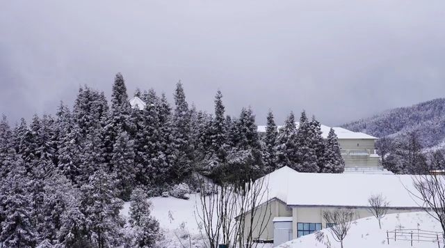 泸州之巅-羅漢林