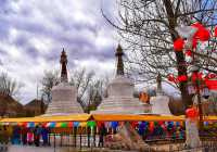 拉薩宗角祿康公園遊記