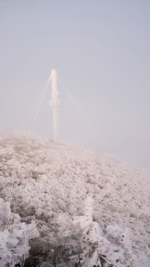 臨安，盛產杭州最美雪景，真的不用去東北！！超高性價比