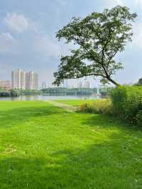 冬季戶外·自由之光·黃興公園