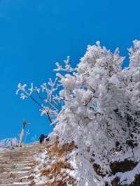 上海周邊二小時車程也能看雪