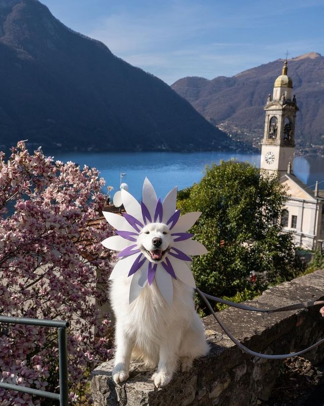 Snapshots from Lake Como 💦😍 Get ready to be swept away by the breathtaking beauty of Lake Como, Italy! 🇮🇹✨