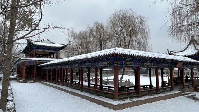 雪後的金城公園和街景