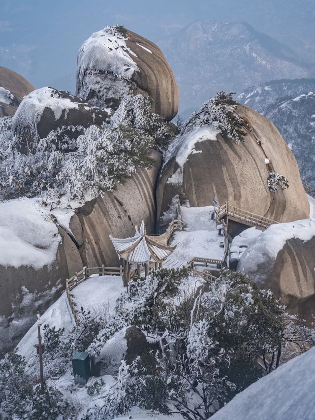 朋友說我拍的照片像Ai生成的