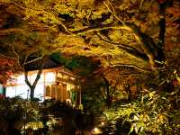 打卡京都寶嚴院