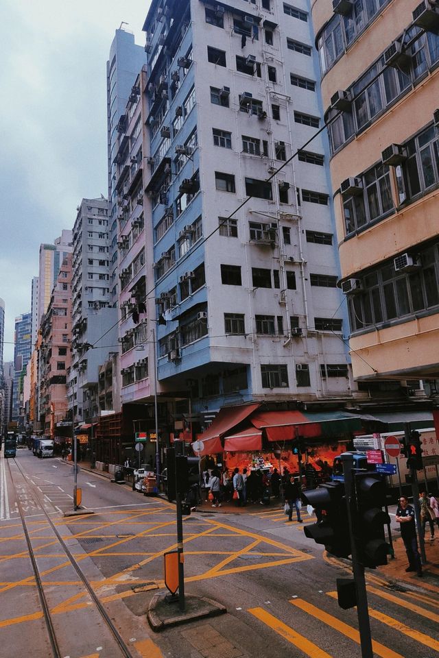 香港City Walk暴走一日游Plog攻略