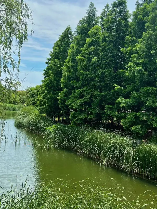 週末親子露營踏青好去處，不要門票的世博園很好逛