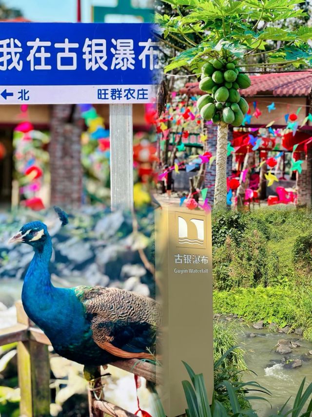 海南一絕臨高古銀瀑布