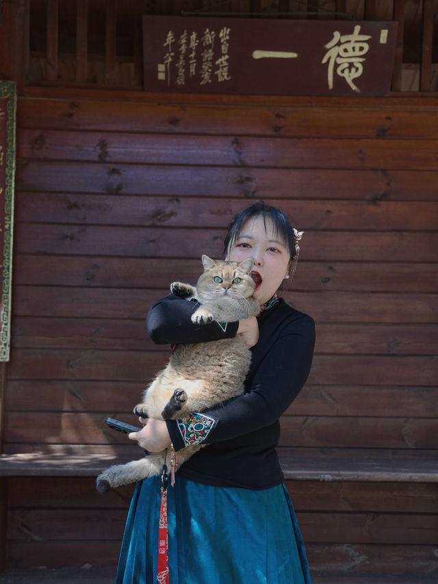 不在京都而在天台的通玄寺，禪意世外桃源美得令人淚流