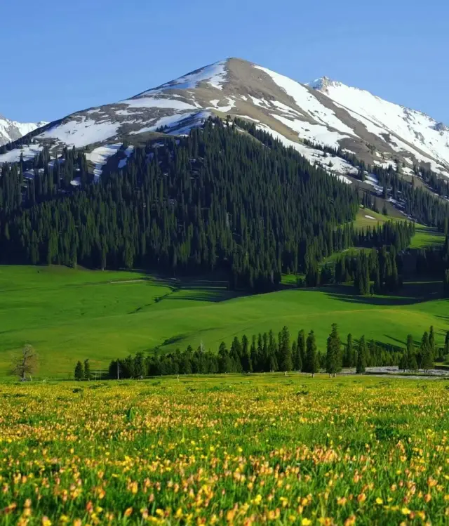 คู่มือท่องเที่ยวซินเจียง