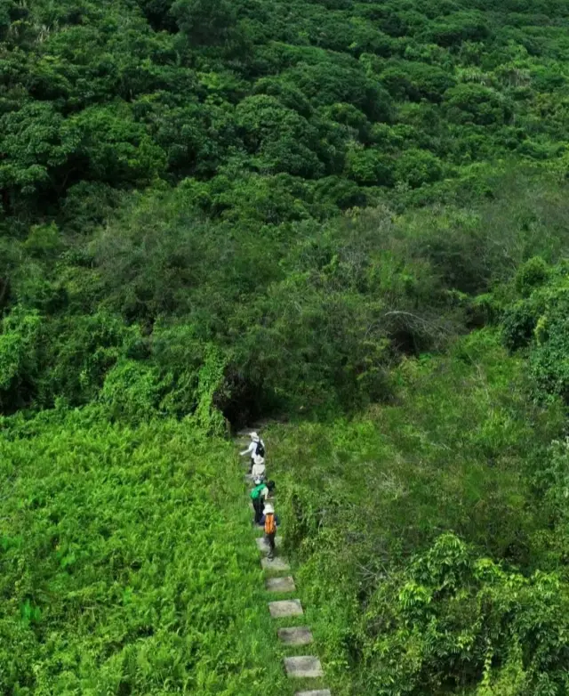 Butterfly Trail | I really regret not coming to this stunning trail earlier