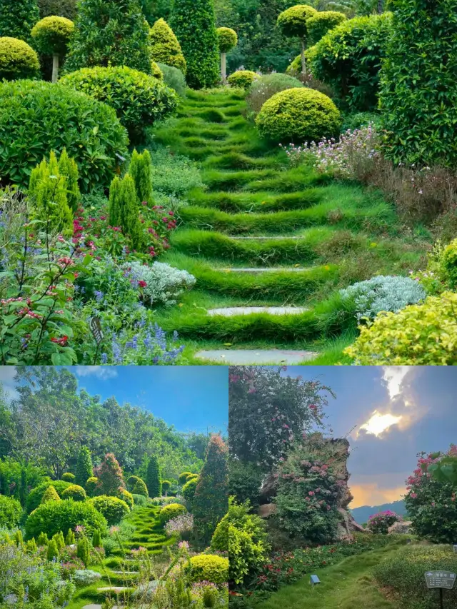 Qingxiu Mountain~ Is this the entrance to Alice's Wonderland???