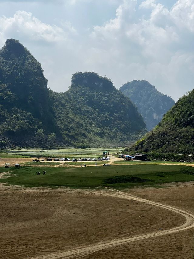 更望湖實況圖|枯水期 蕎麥花開 綠草地