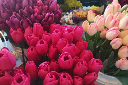 United States • Seattle • Pike Place Market