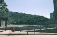 渣甸山及畢拿山・大潭水塘、紅屋半日遊
