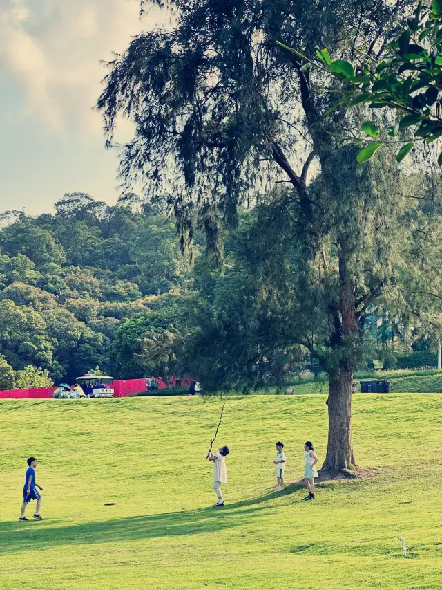 It's definitely Shenzhen! The green grassland among these mountains and fields is so healing!