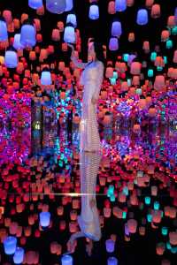 魔都超美展覽teamlab