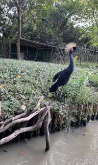 親人們，上海野生動物園有多適合遛娃還要多說嗎？