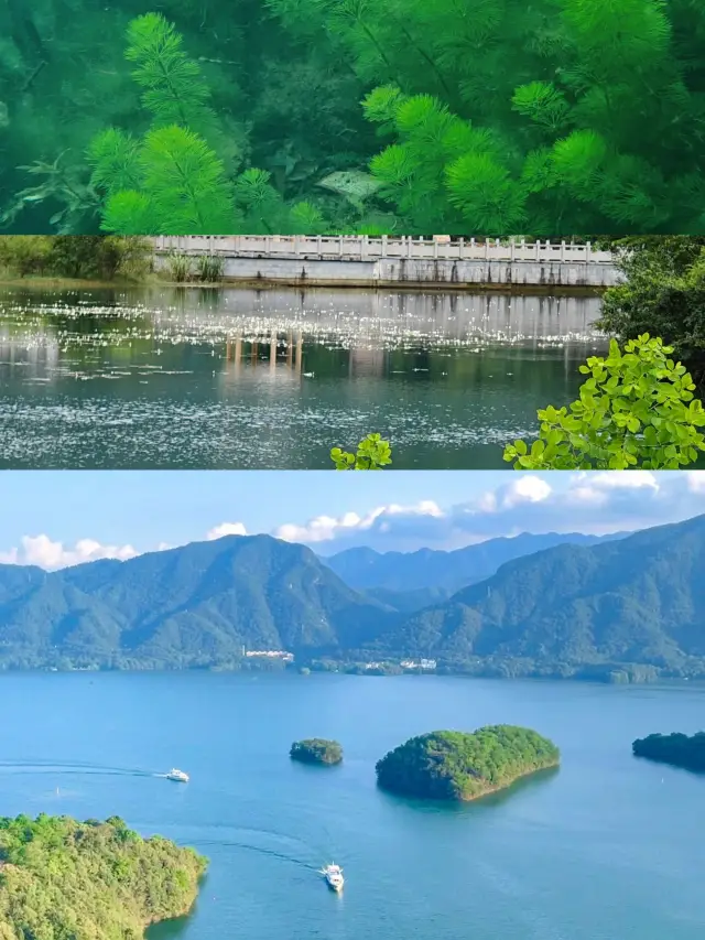 Jiangxi's Maldives are beyond amazing