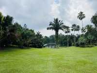 新加坡植物園 - 花園城市的發源地