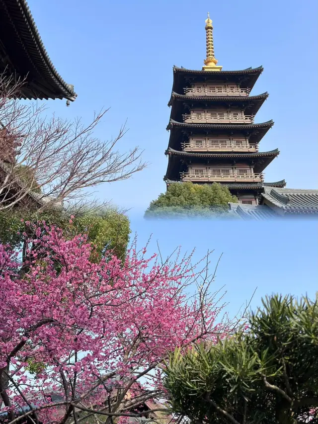 上海小眾寺廟打卡｜唐風