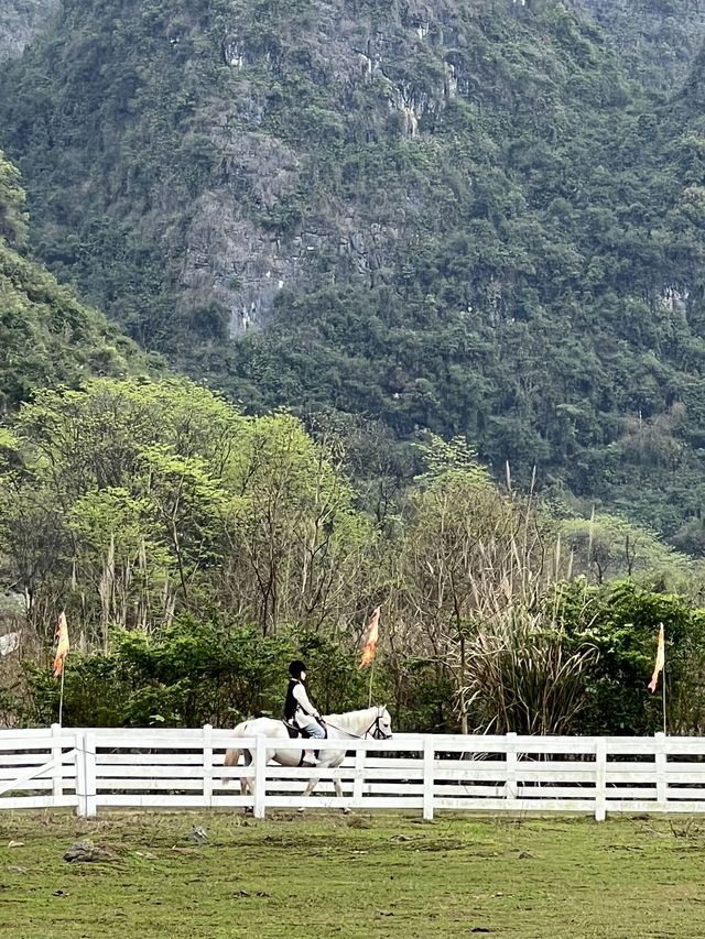 從陽朔回家後還想再去花仙谷騎馬