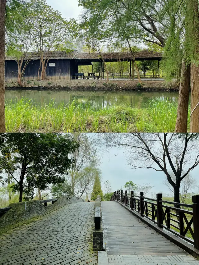 洗肺の旅—溱湖湿地の週末