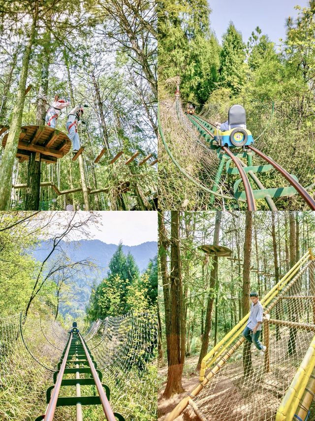 抓住重慶春天的尾巴 去鮮花盛開的山坡