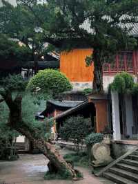 天台山國內最值得去的最美最清淨的寺廟