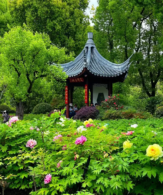 上海魔都——國際花展，上海植物園50歲了