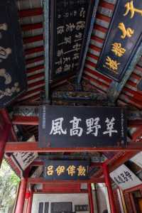 第一次來南陽，就去這個地方吧