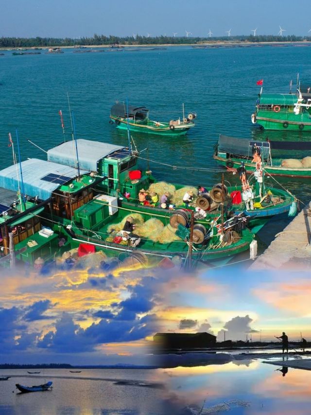 徐聞旅行，探秘廣東的海洋寶藏