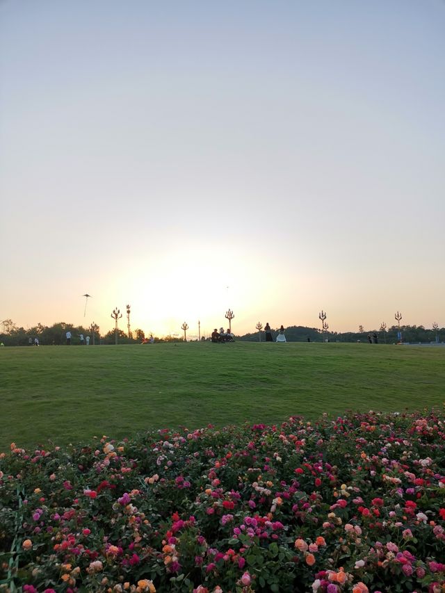 成都市區內一個修道露營的好去處：興隆湖濕地公園