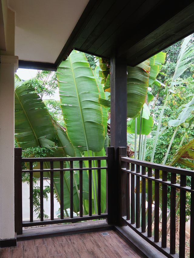 西雙版納住進了熱帶雨林裡的獨棟別墅