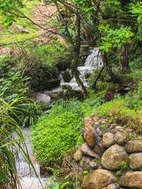 【江西美景】在上堡梯田感受最美田園