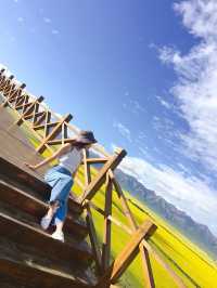 2020年青甘大環線旅遊攻略