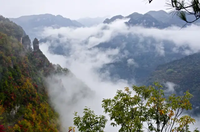 Jiulu Fortress Ecotourism Area makes a grand return!