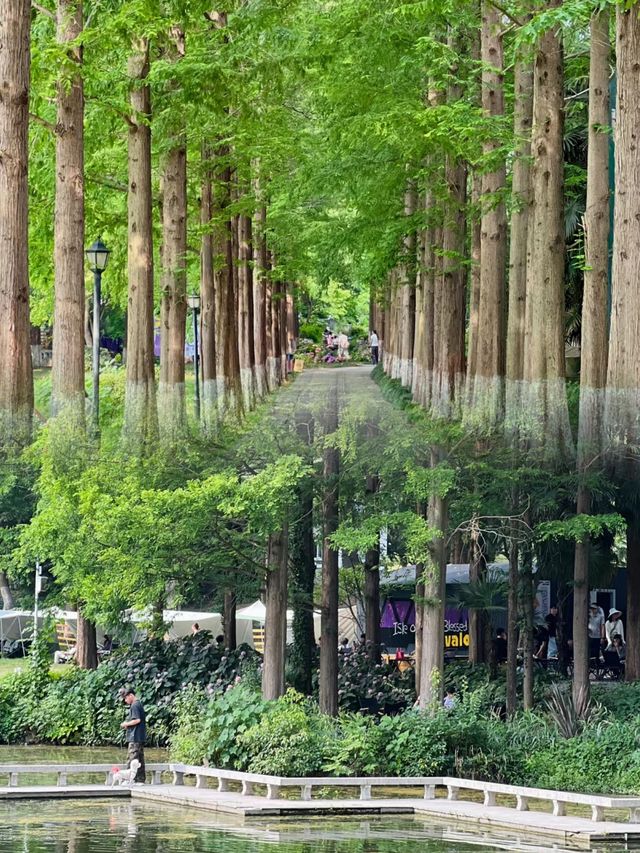 我不同意在南京還沒有人來過這個公園