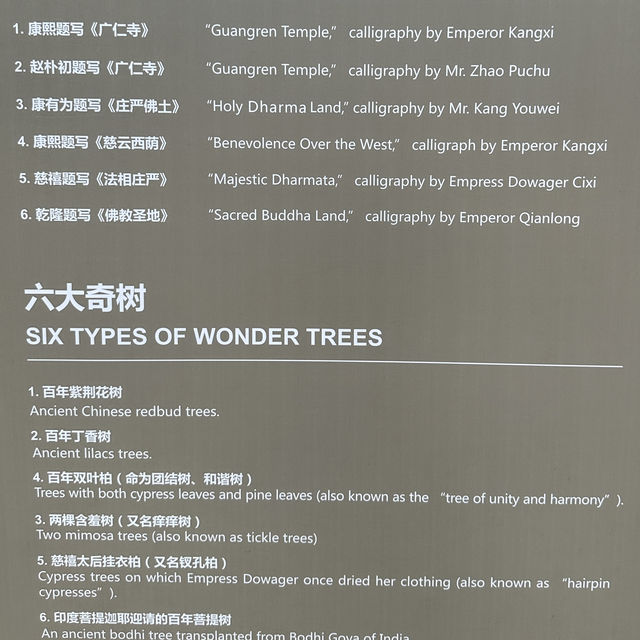 Hidden Gem in Xi'an : Guangren Temple 🏯