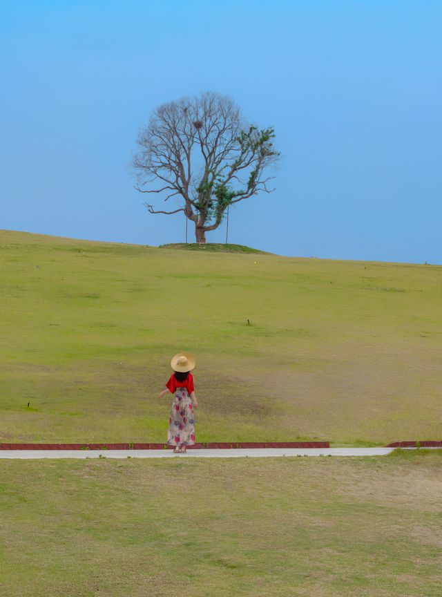 這裡是山東日照 被低估的藝術小鎮