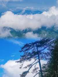 江西宜春一個人少景美少眾避暑山林景區