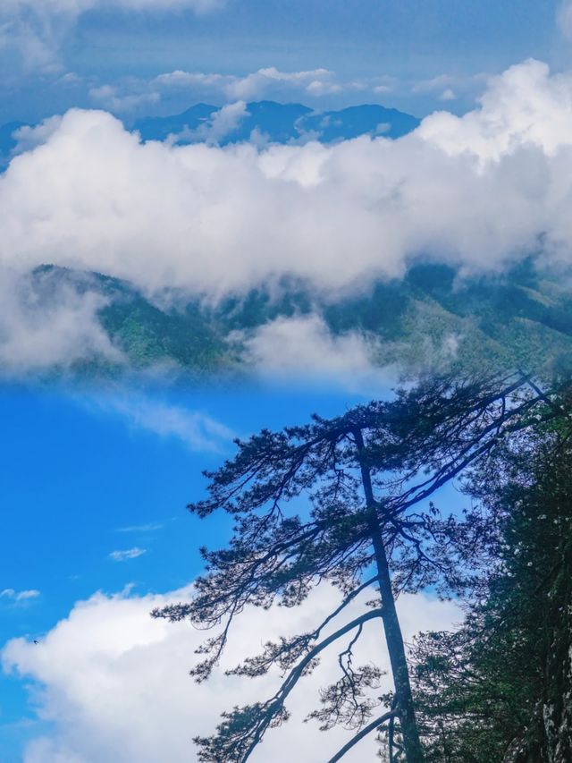 江西宜春一個人少景美少眾避暑山林景區