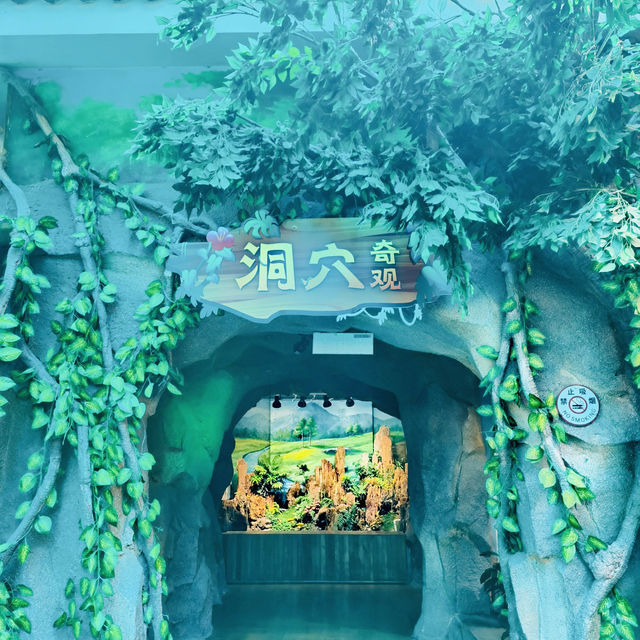 打卡深圳觀瀾海洋世界