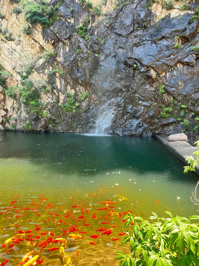 夏日避暑玩水的絕佳之地| 天津梨木台