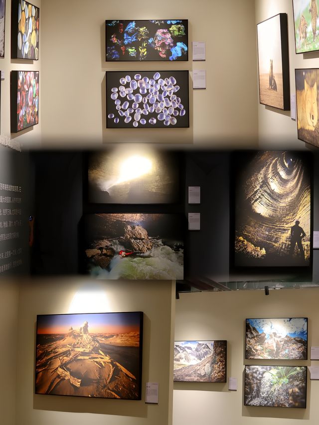 廣州看展，中國國家地理•探索 極致發現科學藝術影像展攻略