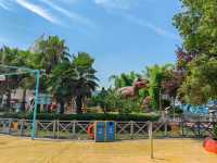 暑假帶娃嗨翻天，武漢極地海洋公園超全攻略來啦