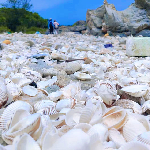 黑排角：徒步海岸線，適合冒險型旅行者