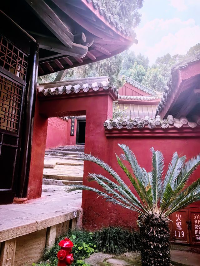 一起看綿陽世界級風景｜七曲山大廟（四）